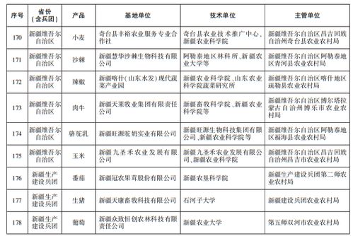 新疆及兵團9家基地入選首批國家級網(wǎng)站建設名單